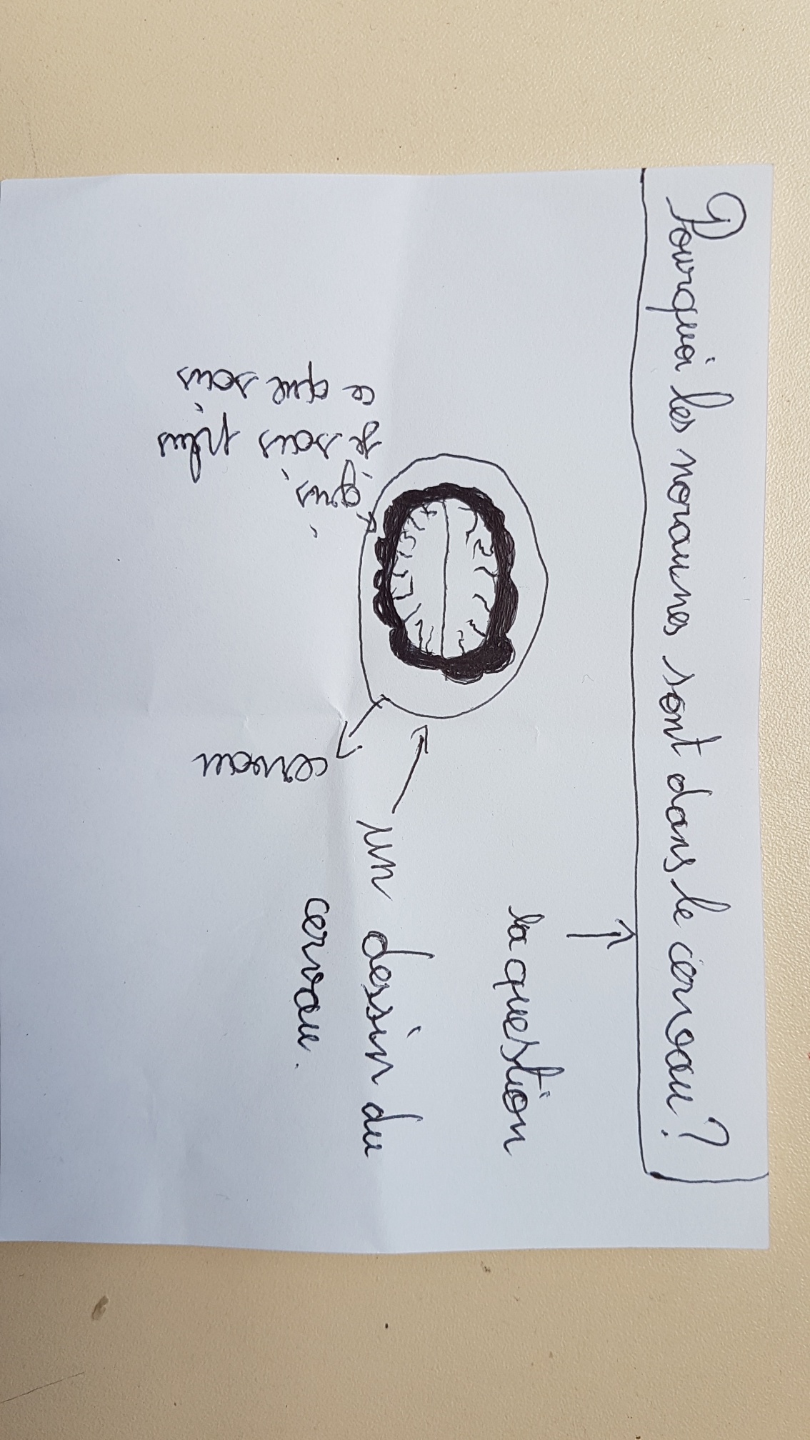 Partenariat scientifique pour la classe : Le cerveau et les écrans